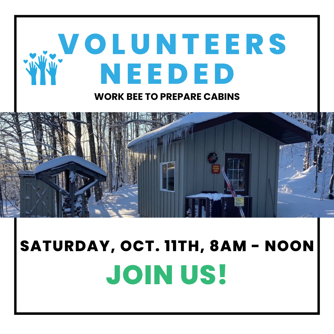 October Work Update OCTOBER Work Bee – October 11, 2025 – ABR Trails Foundation